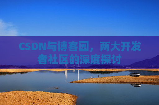 CSDN与博客园，两大开发者社区的深度探讨